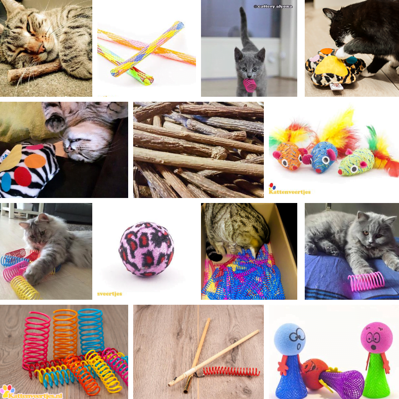 Jouets pour chat Huisdieren Katten Speeltjes Zachte speeltjes 