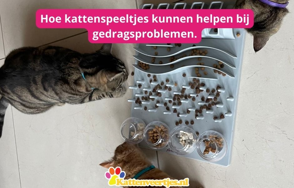 kattenblog: Hoe kattenspeeltjes kunnen helpen bij gedragsproblemen.